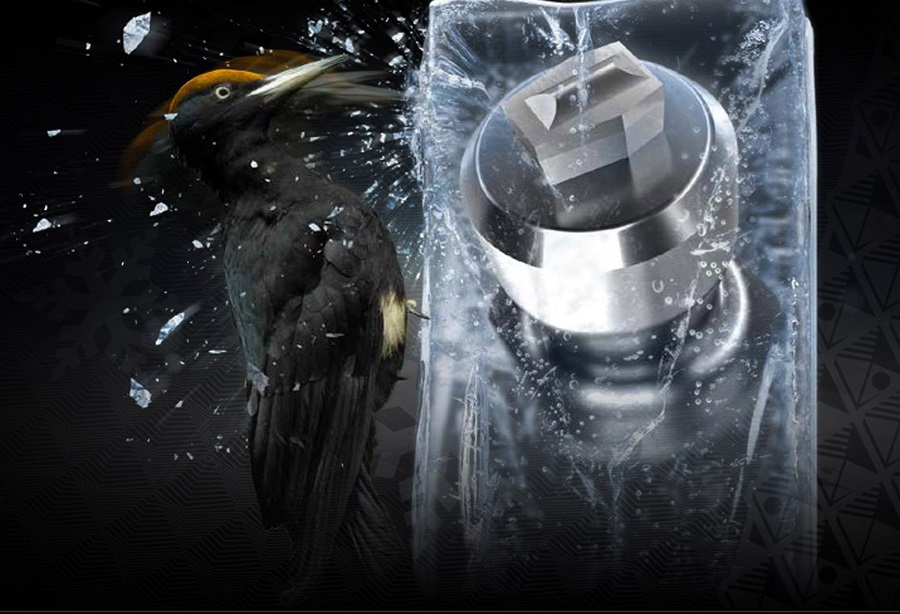 Continental VanContact Ice (3)